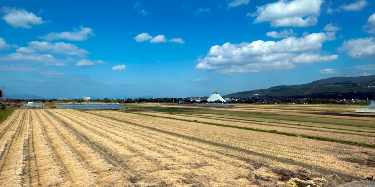 心の吐露に効果的なのはAI、SNSには要注意のイメージ