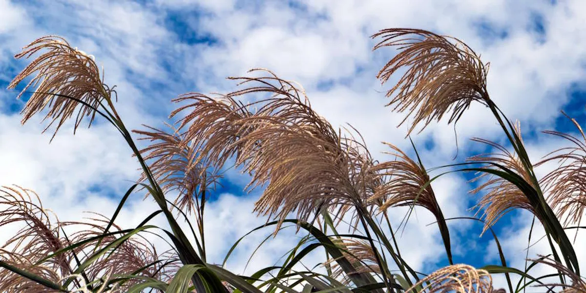 AIリテラシー：人格を持つAIとの付き合い方のイメージ