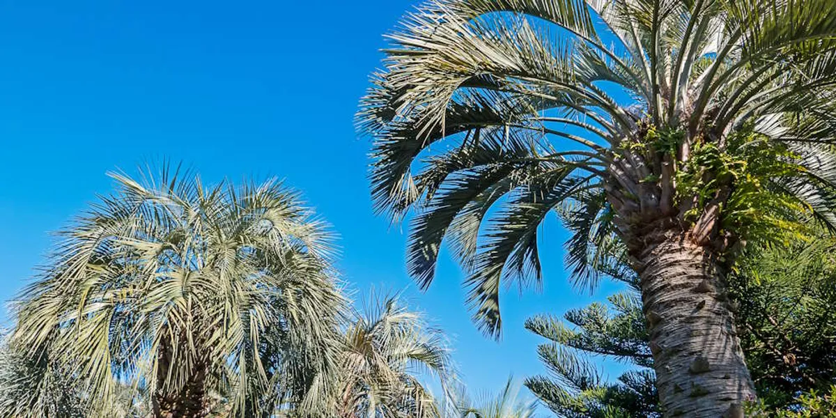 AIによる情報革命：図書館からAIまでの進化と未来のイメージ