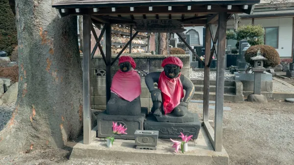 小規模事業者の撤退戦略：破産手続きと再起の可能性【第3部】のサムネイル