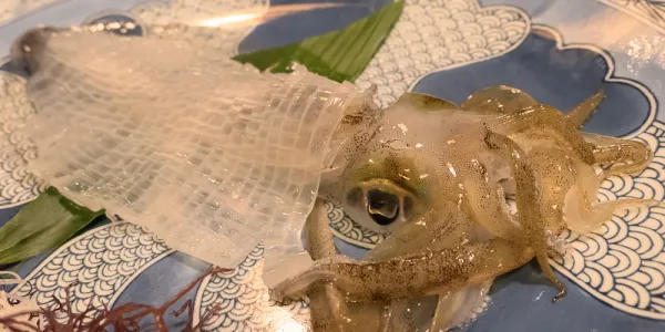 AI時代における税理士選びの新基準：経営者のための実践ガイドのサムネイル