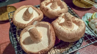 AI活用における情報漏洩の幻想：日本企業が陥る保身の罠のサムネイル